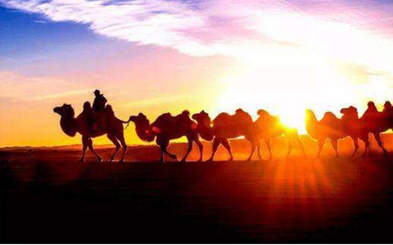 絲綢之路遺址保護高級培訓班圓滿結業(yè)